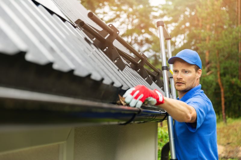 Cost-Effective Gutter Protection